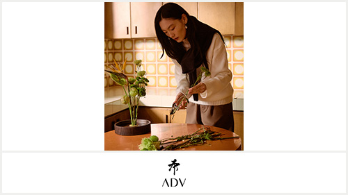 Axess’e özel ADV’de 750 TL Chip-Para!