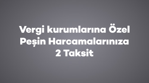 Vergi kurumlarına Özel Peşin Harcamalarınıza 2 Taksit